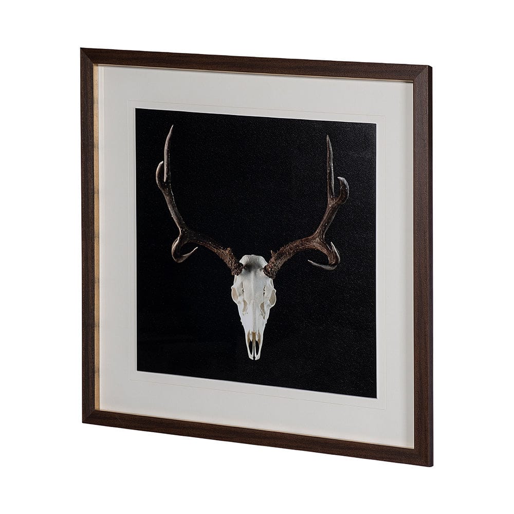 Mercana - Deer Skull by Chris Dunker a Hand Embelished Textured Framed Art Print Matted under Glass - 13170 view 2