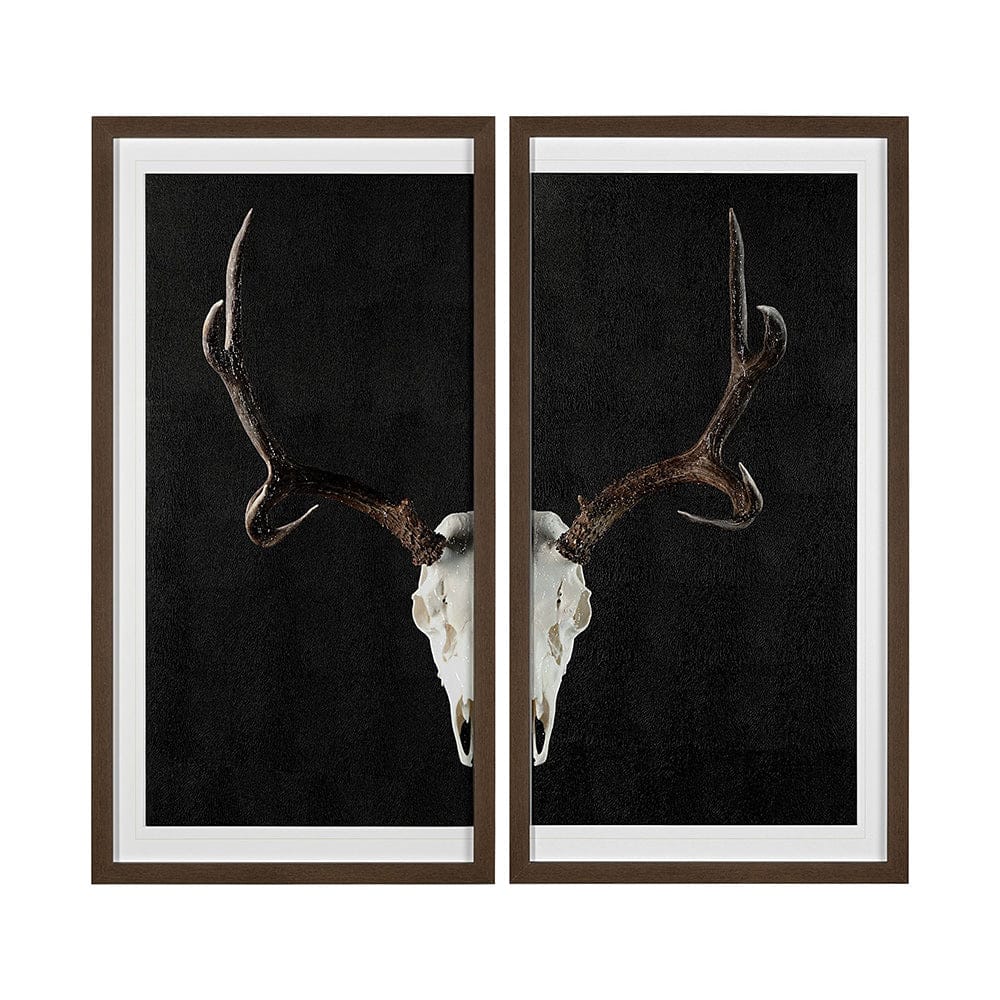 Mercana - Deer Skull-L by Chris Dunker a Hand Embellished Textured Framed Art Print Matted under Glass - 13166 view 1