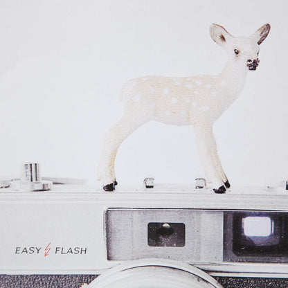Mercana - Deer & Vintage Camera by Susannah Tucker Photography a Framed Art Print Matted under Glass - 12076 view 5