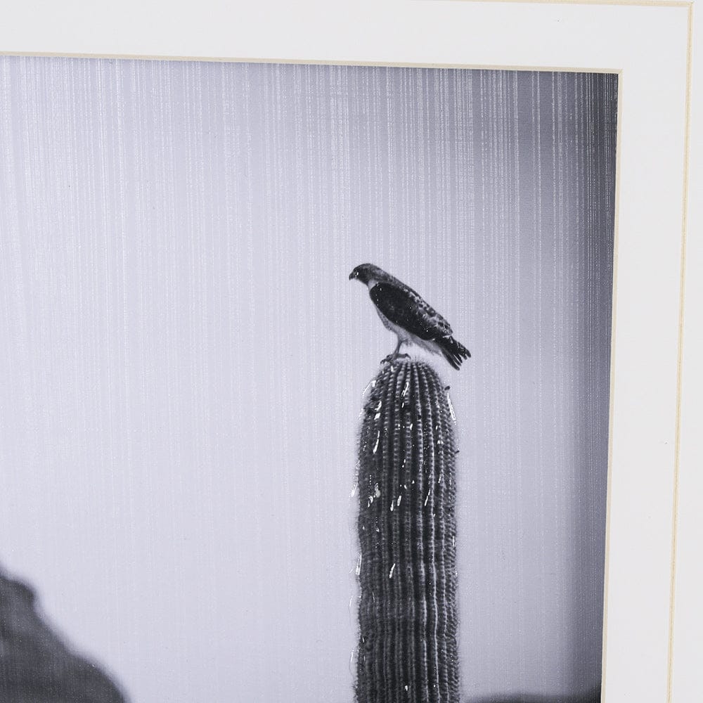 Mercana - Desert Hunter by Nathan Larson a Hand Embelished Textured Framed Art Print Matted under Glass - 15467 view 6