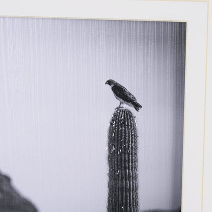 Mercana - Desert Hunter by Nathan Larson a Hand Embelished Textured Framed Art Print Matted under Glass - 15467 view 6