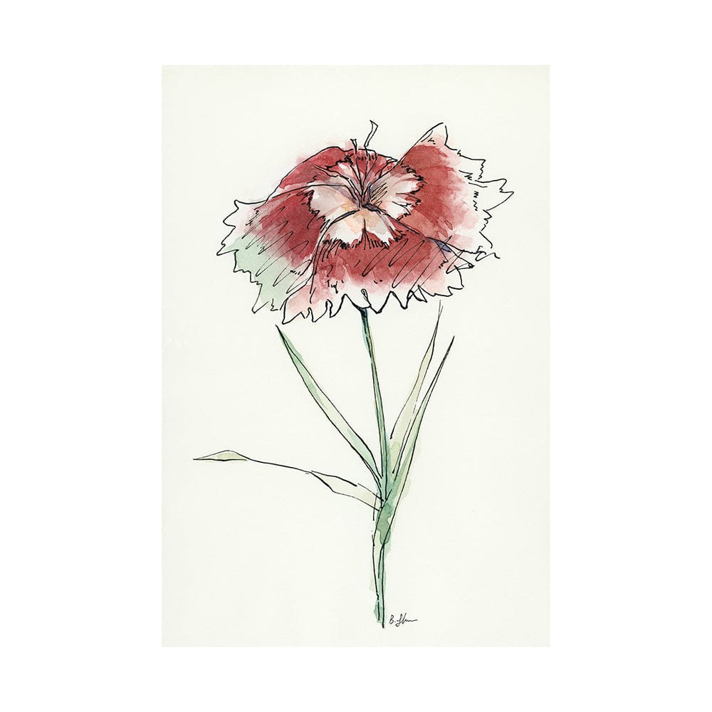 Mercana - Dianthus I by Mercana Studio a Hand Embellished Textured Canvas - 101888-L view 1
