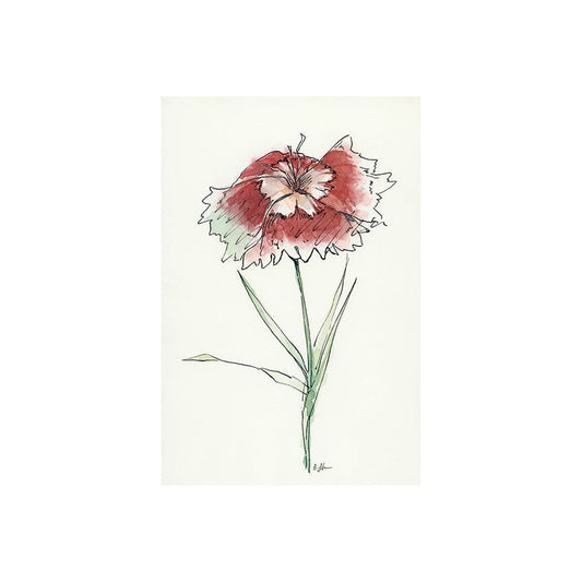 Mercana - Dianthus I by Mercana Studio a Hand Embellished Textured Canvas - 101888-S view 1