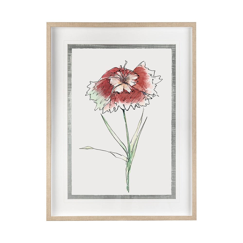 Mercana - Dianthus I by Panpan Zhang a Framed Art Print Matted under Glass - 13652 view 1