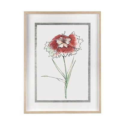Mercana - Dianthus I by Panpan Zhang a Framed Art Print Matted under Glass - 13652 view 1