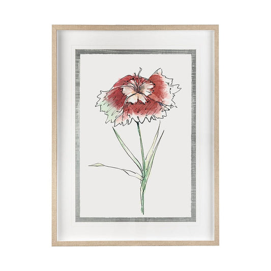 Mercana - Dianthus I by Panpan Zhang a Framed Art Print Matted under Glass - 13652 view 1