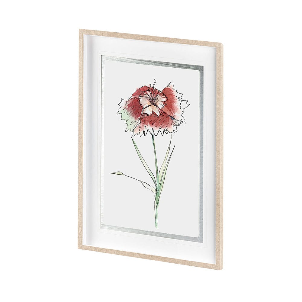 Mercana - Dianthus I by Panpan Zhang a Framed Art Print Matted under Glass - 13652 view 2