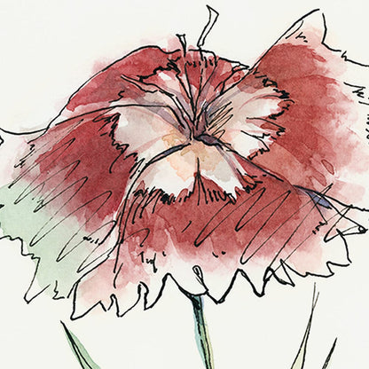 Mercana - Dianthus I by Panpan Zhang a Framed Art Print Matted under Glass - 13652 view 7