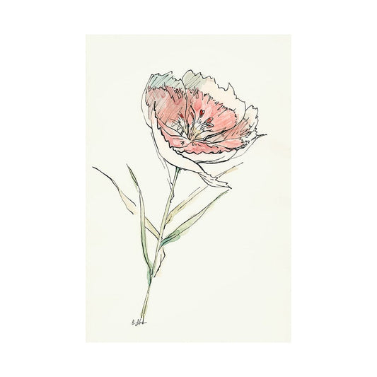 Mercana - Dianthus II by Mercana Studio a Hand Embellished Textured Canvas - 101889-L view 1