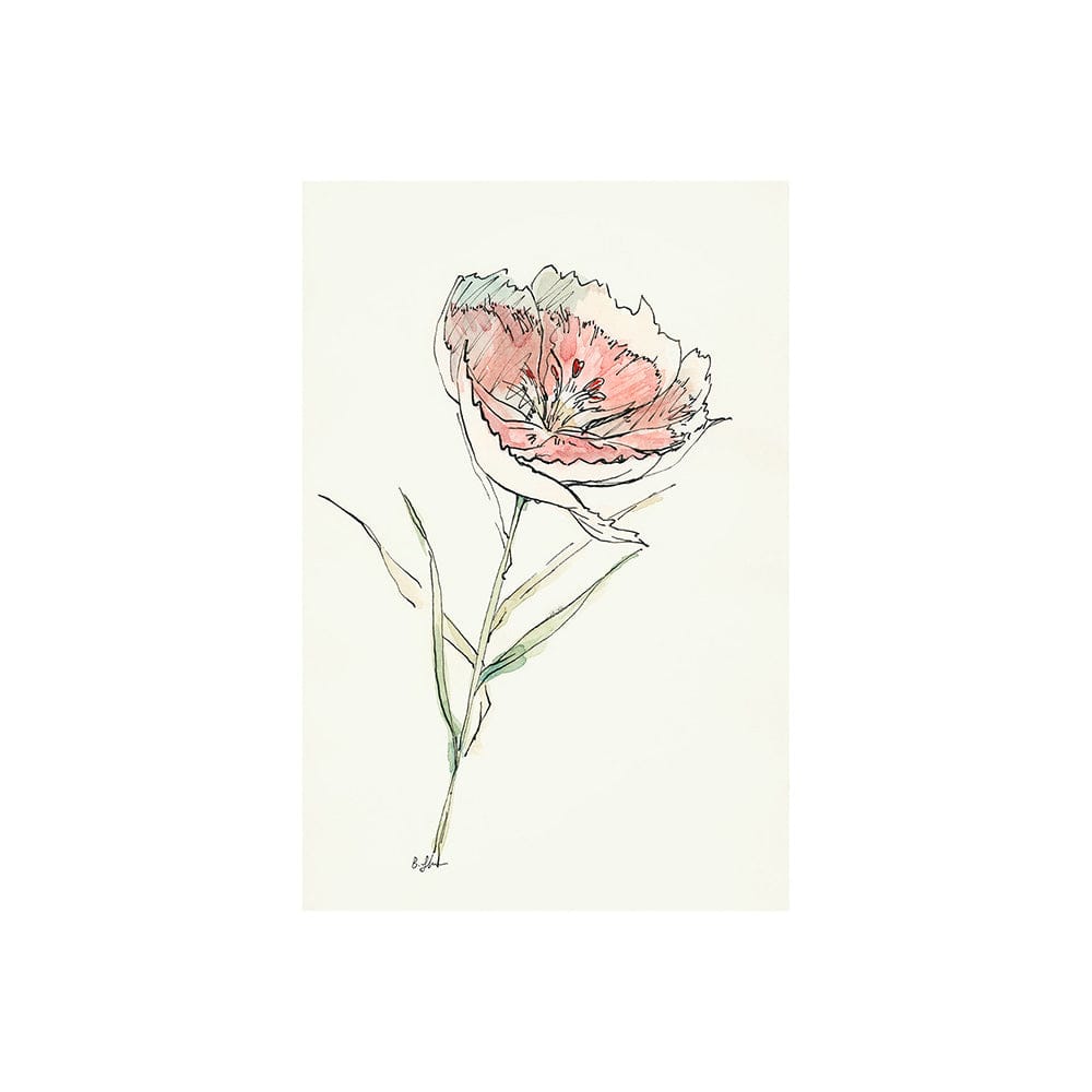Mercana - Dianthus II by Mercana Studio a Hand Embellished Textured Canvas - 101889-S view 1