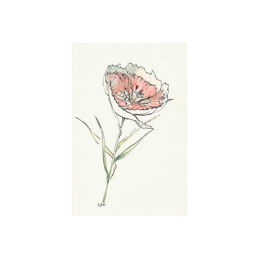 Mercana - Dianthus II by Mercana Studio a Hand Embellished Textured Canvas - 101889-S view 1