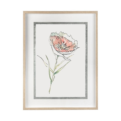 Mercana - Dianthus II by Panpan Zhang a Framed Art Print Matted under Glass - 13653 view 1