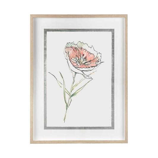 Mercana - Dianthus II by Panpan Zhang a Framed Art Print Matted under Glass - 13653 view 1