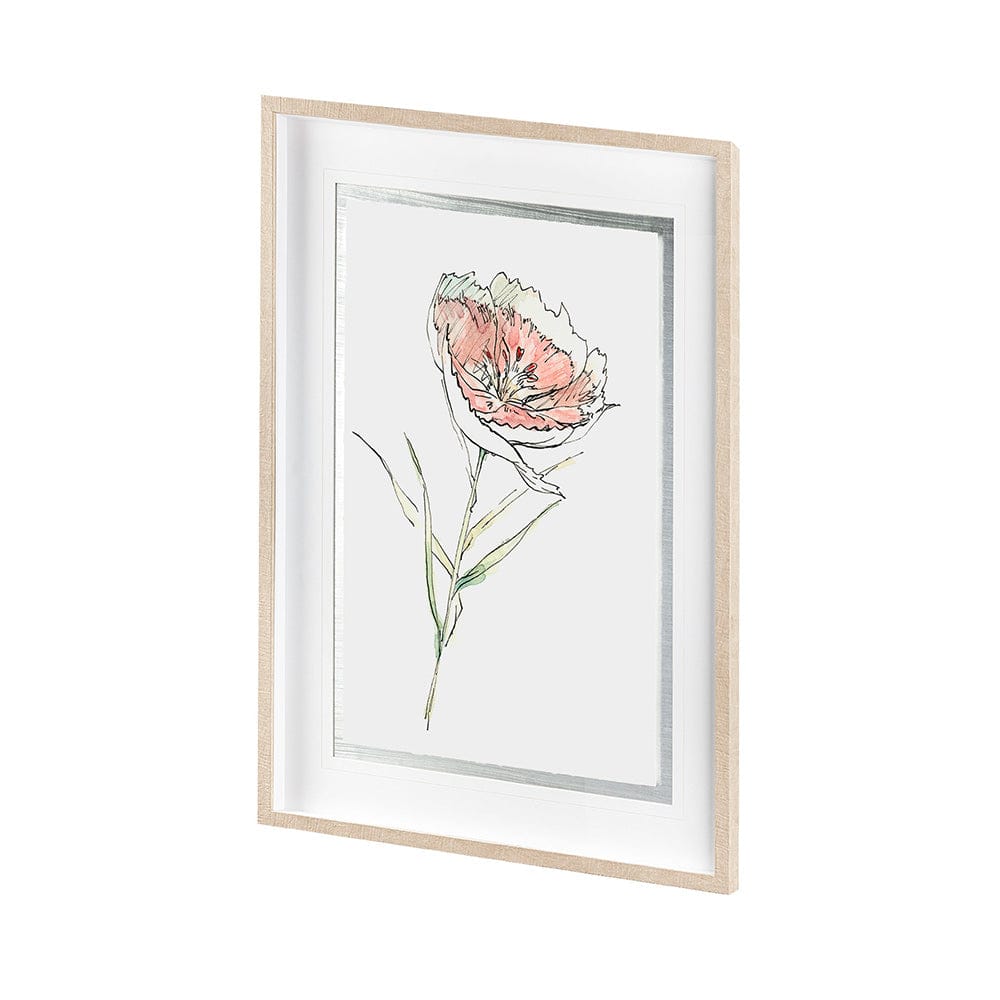 Mercana - Dianthus II by Panpan Zhang a Framed Art Print Matted under Glass - 13653 view 2