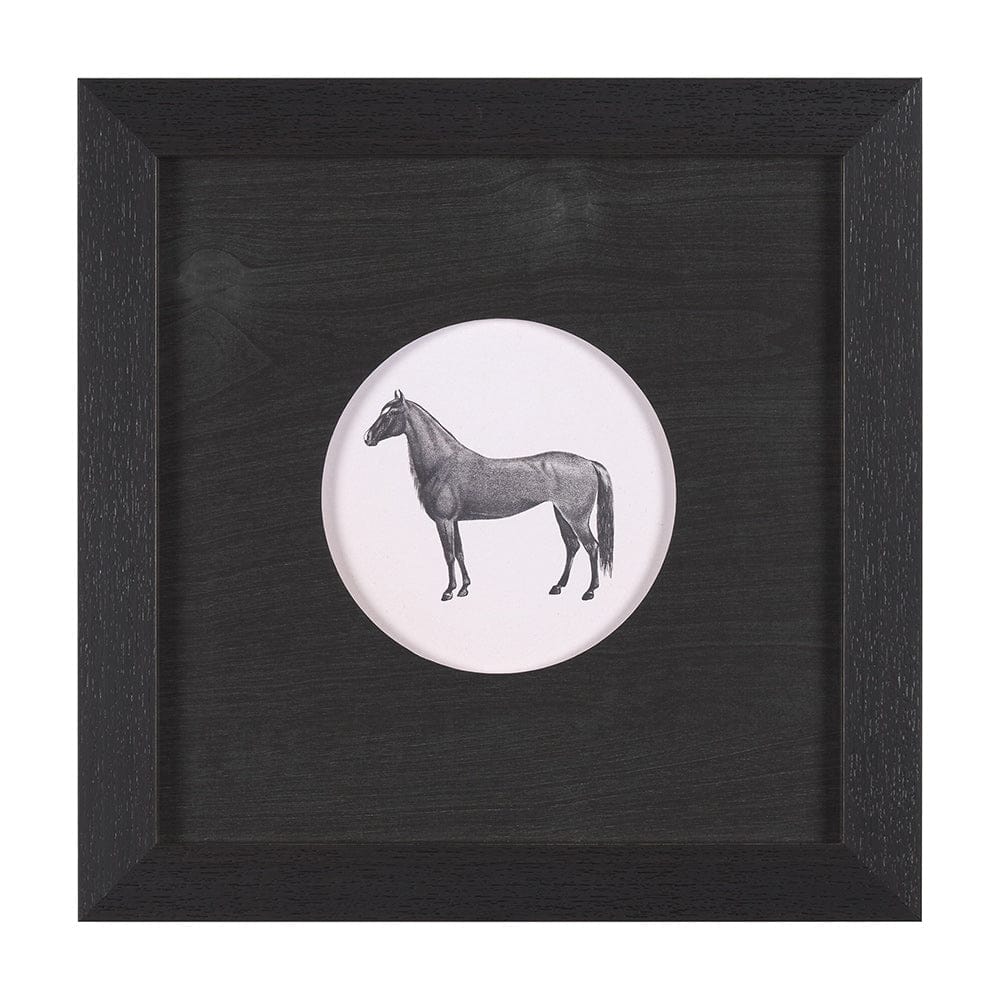 Mercana - Down On The Farm IV by Wild Apple Portfolio a Framed Art Print Matted under Glass - 15492 view 1