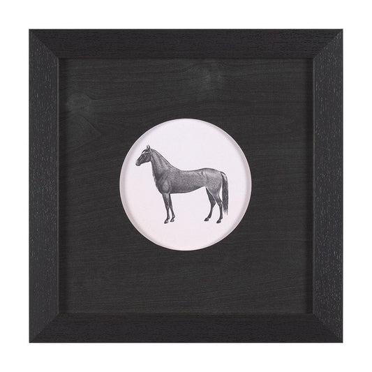 Mercana - Down On The Farm IV by Wild Apple Portfolio a Framed Art Print Matted under Glass - 15492 view 1