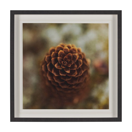 Mercana - Down to Earth by Stig Kalvelid a Hand Embellished Framed Art Print Matted under Glass - 15556 view 1