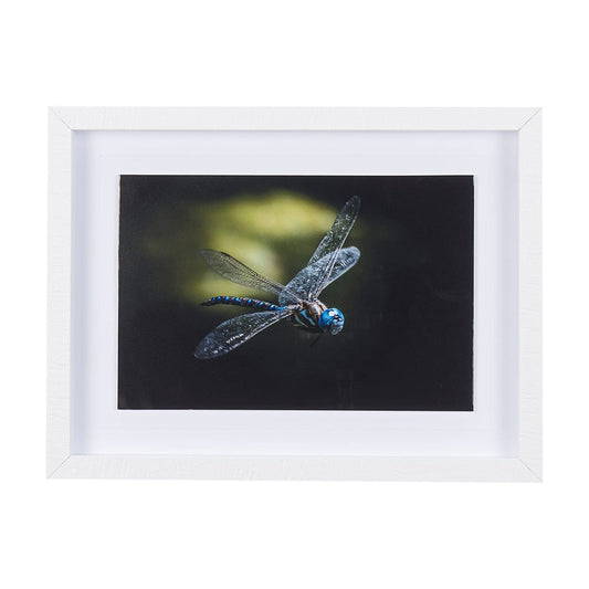 Mercana - Dragon Fly by Mercana Studio a Framed Art Print Matted under Glass - 14368 view 1