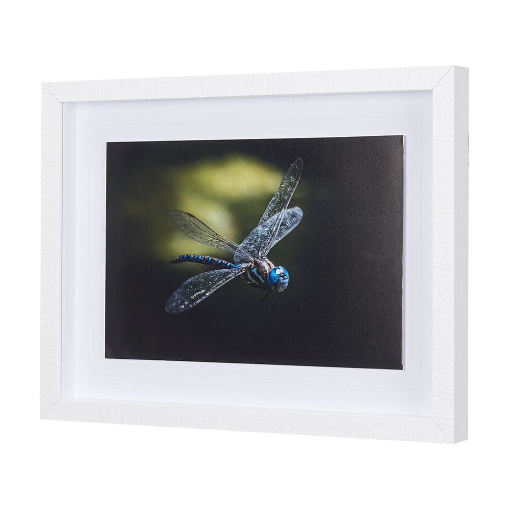 Mercana - Dragon Fly by Mercana Studio a Framed Art Print Matted under Glass - 14368 view 2