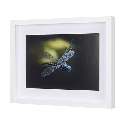 Mercana - Dragon Fly by Mercana Studio a Framed Art Print Matted under Glass - 14368 view 2