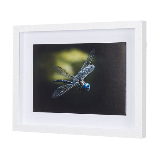 Mercana - Dragon Fly by Mercana Studio a Framed Art Print Matted under Glass - 14368 view 2