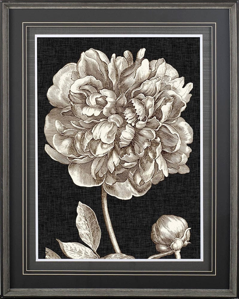Mercana - Dramatic Peony I by Vision Studio a Hand Embellished Textured Framed Art Print Matted under Glass - 10593 view 2