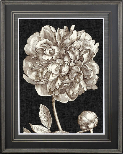 Mercana - Dramatic Peony I by Vision Studio a Hand Embellished Textured Framed Art Print Matted under Glass - 10593 view 2