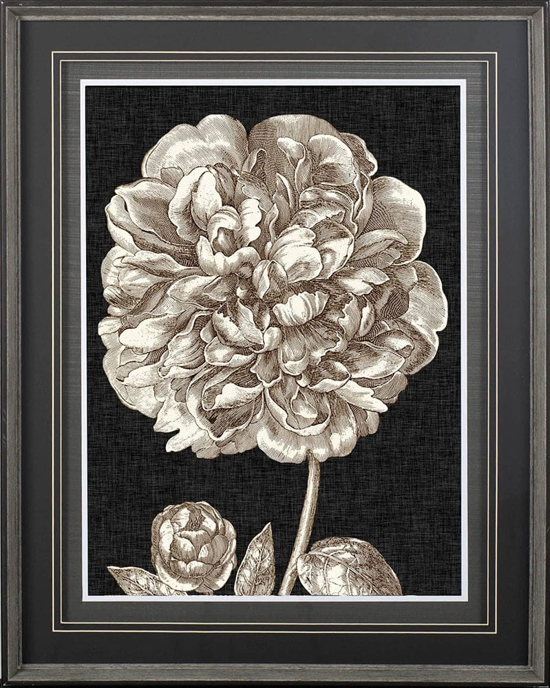 Mercana - Dramatic Peony II by Vision Studio a Hand Embellished Textured Framed Art Print Matted under Glass - 10594 view 2