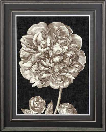 Mercana - Dramatic Peony II by Vision Studio a Hand Embellished Textured Framed Art Print Matted under Glass - 10594 view 2
