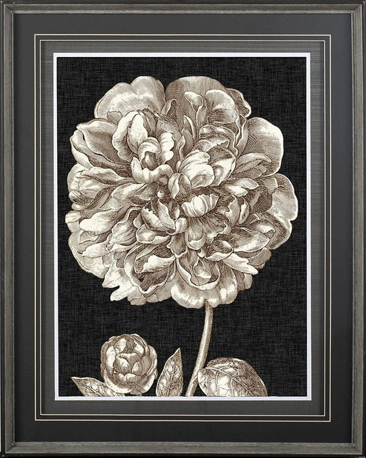 Mercana - Dramatic Peony II by Vision Studio a Hand Embellished Textured Framed Art Print Matted under Glass - 10594 view 2
