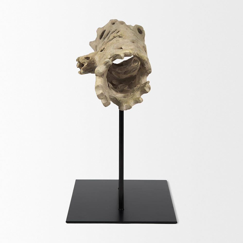 Mercana - Dwell Cholla Wood Resin Decorative Object - Large - 70184 view 3