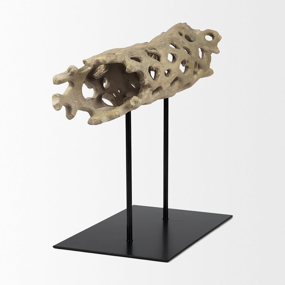 Mercana - Dwell Cholla Wood Resin Decorative Object - Large - 70184 view 4