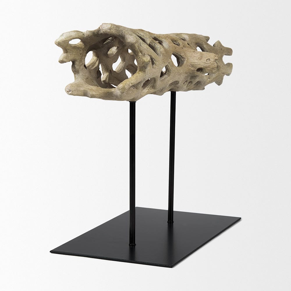 Mercana - Dwell Cholla Wood Resin Decorative Object - Large - 70184 view 6