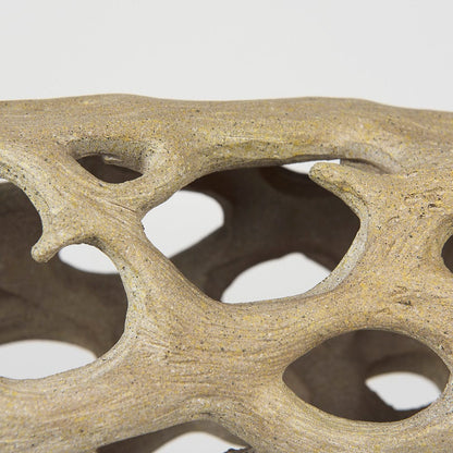 Mercana - Dwell Cholla Wood Resin Decorative Object - Large - 70184 view 7