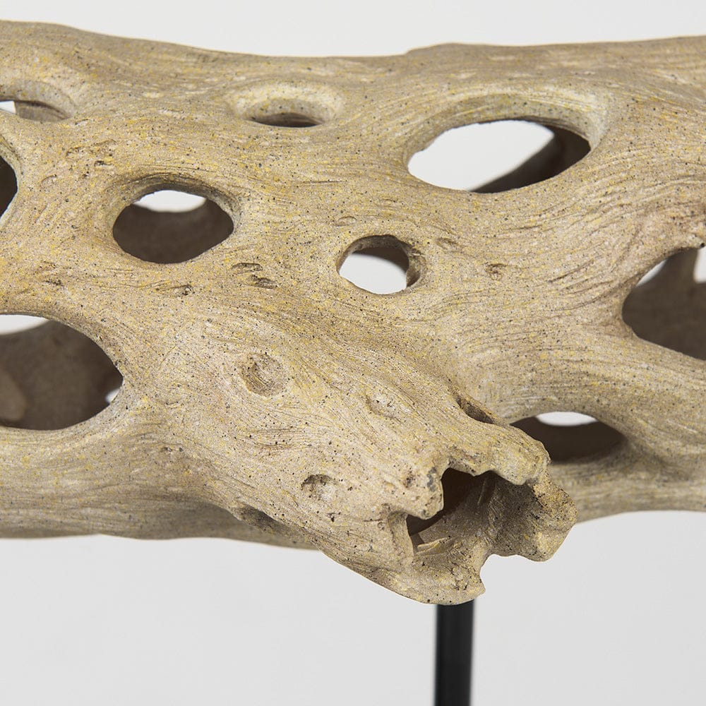 Mercana - Dwell Cholla Wood Resin Decorative Object - Large - 70184 view 8