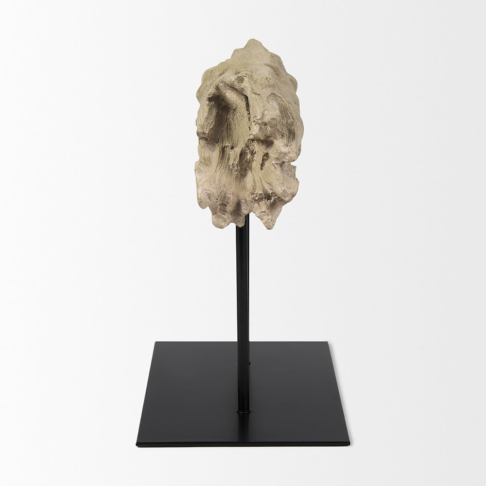 Mercana - Dwell Cholla Wood Resin Decorative Object - Small - 70183 view 3