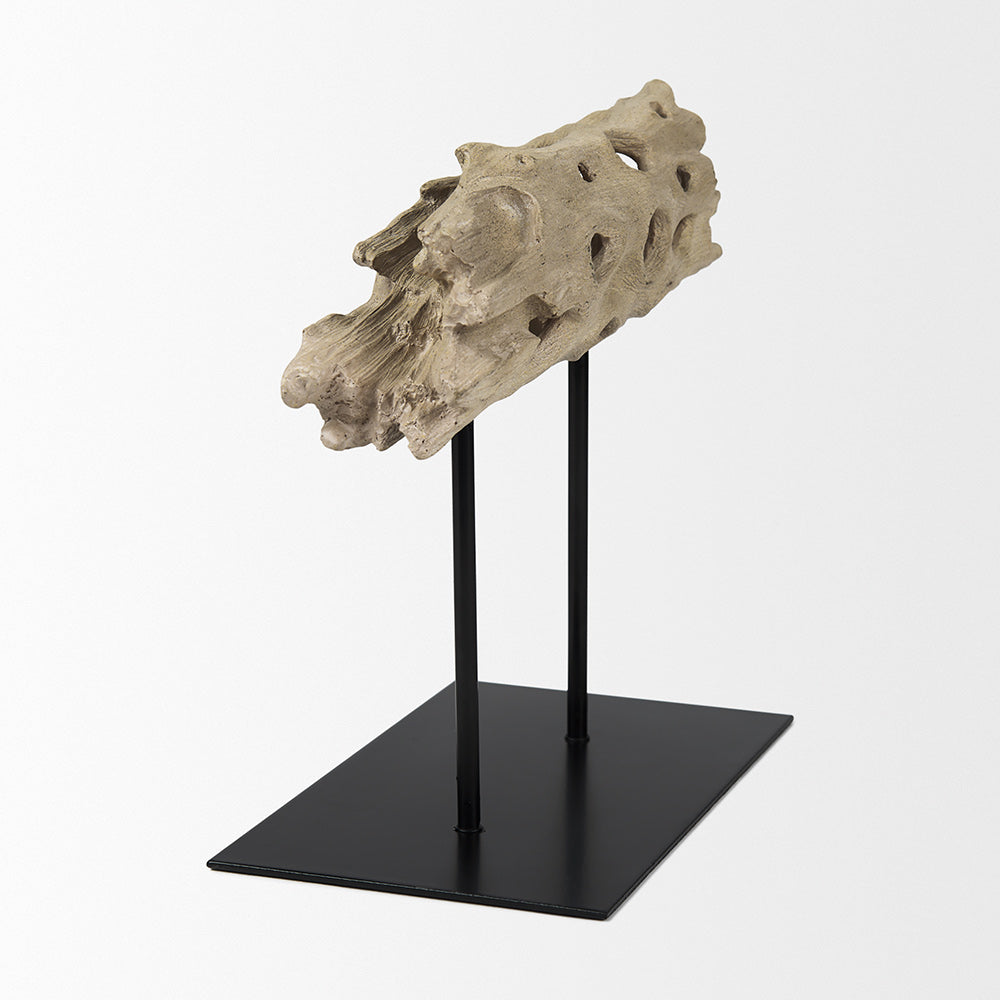 Mercana - Dwell Cholla Wood Resin Decorative Object - Small - 70183 view 4