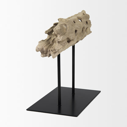 Mercana - Dwell Cholla Wood Resin Decorative Object - Small - 70183 view 4