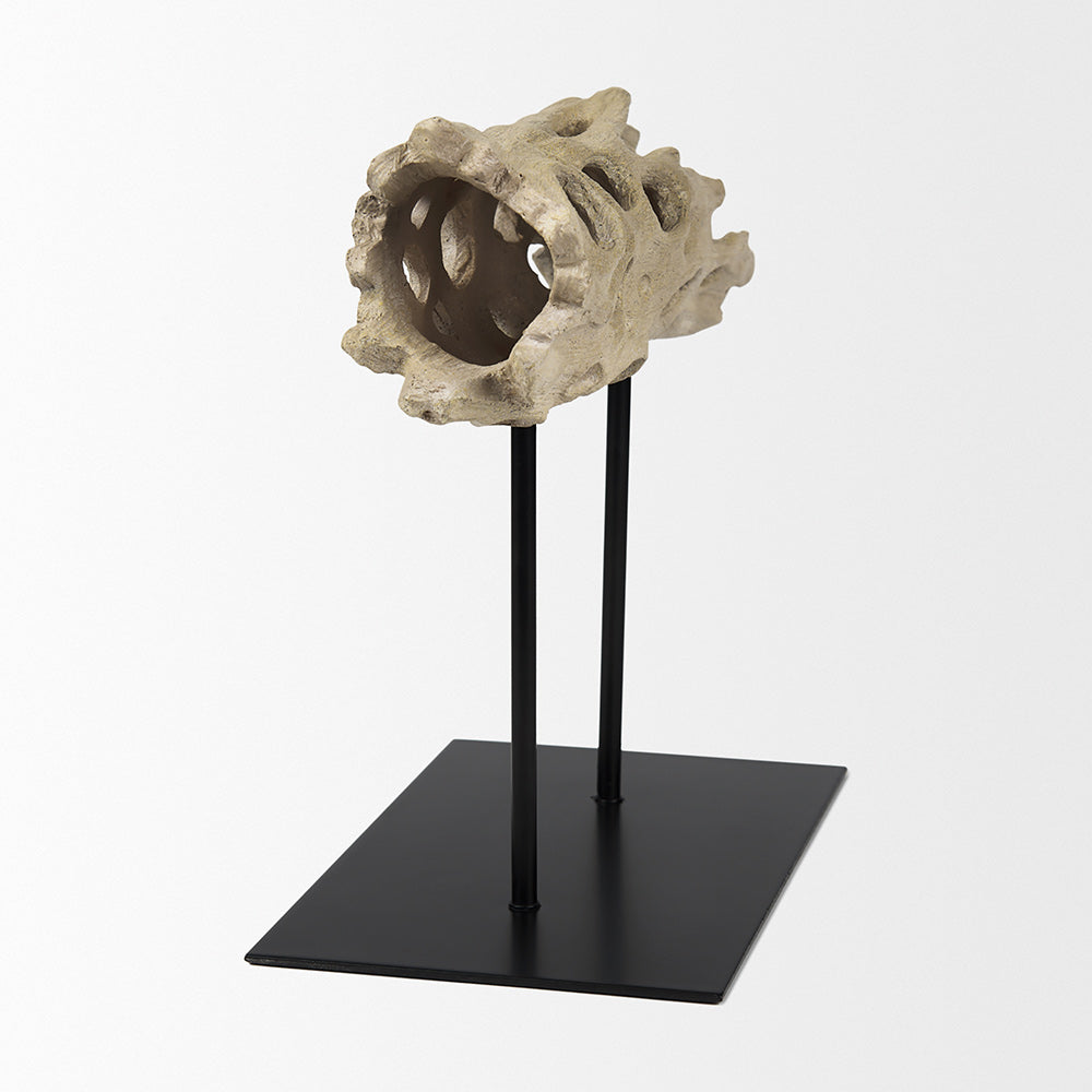 Mercana - Dwell Cholla Wood Resin Decorative Object - Small - 70183 view 6