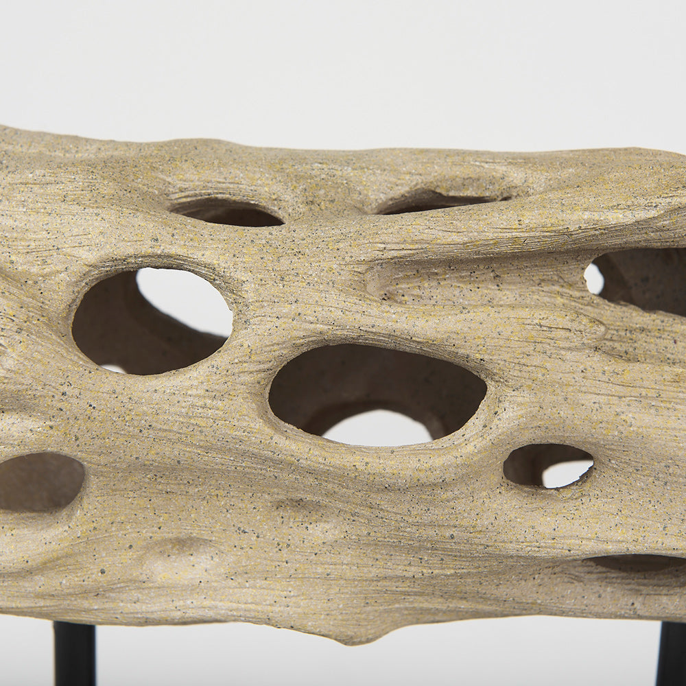 Mercana - Dwell Cholla Wood Resin Decorative Object - Small - 70183 view 7