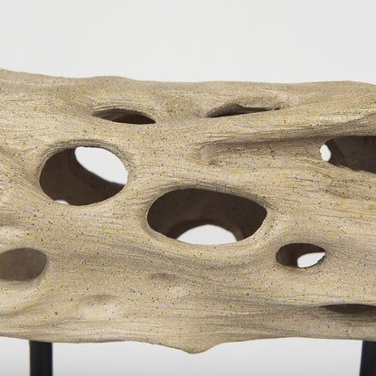 Mercana - Dwell Cholla Wood Resin Decorative Object - Small - 70183 view 7