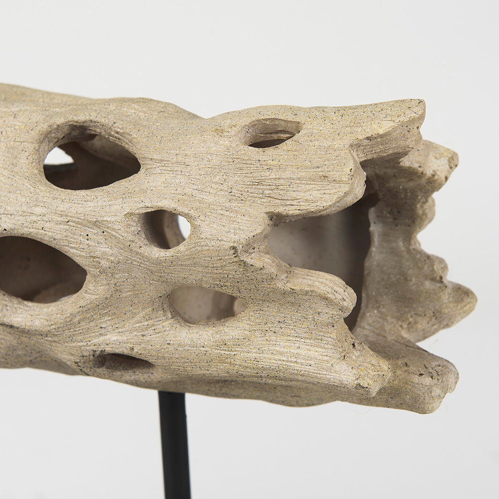 Mercana - Dwell Cholla Wood Resin Decorative Object - Small - 70183 view 8