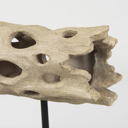 Mercana - Dwell Cholla Wood Resin Decorative Object - Small - 70183 view 8