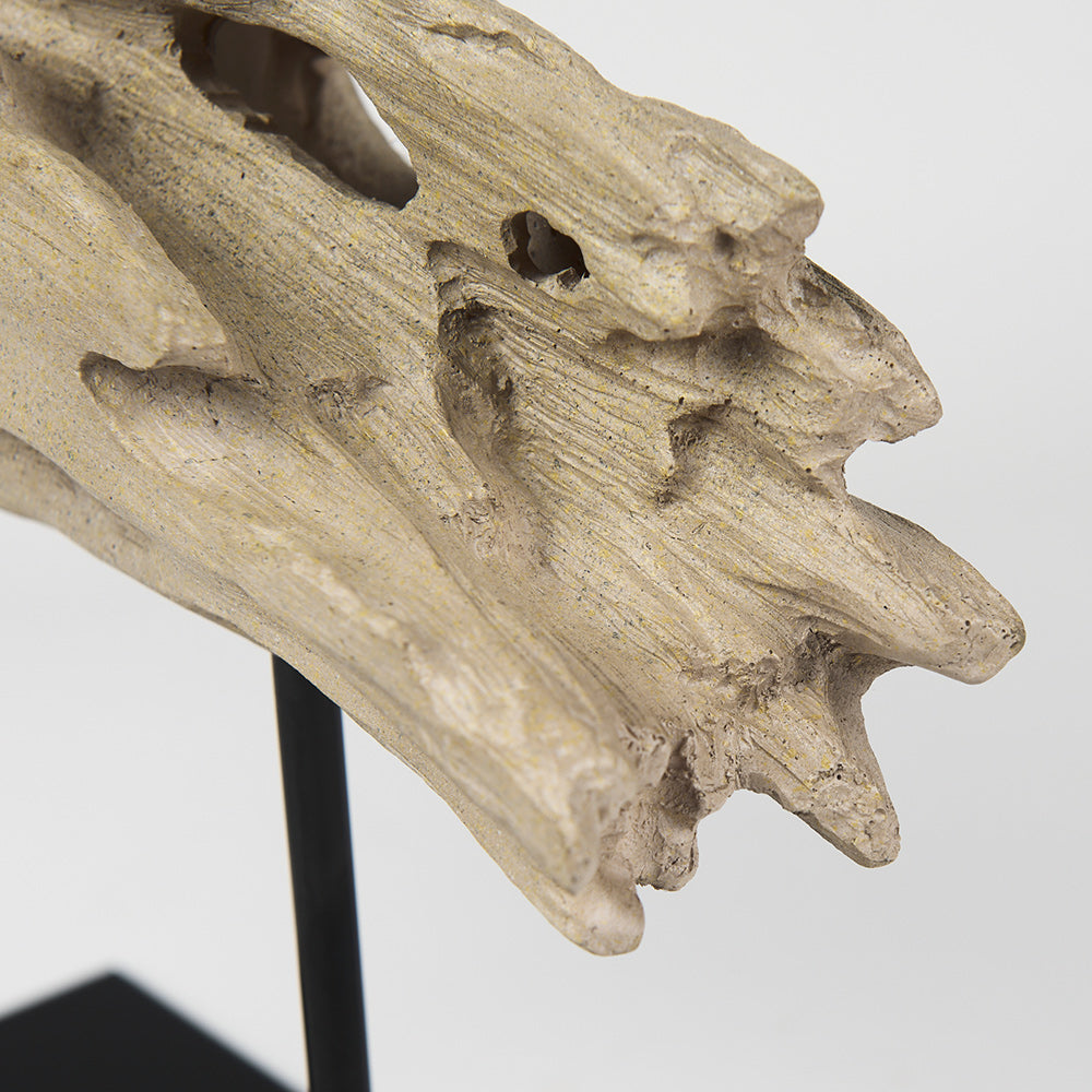 Mercana - Dwell Cholla Wood Resin Decorative Object - Small - 70183 view 9