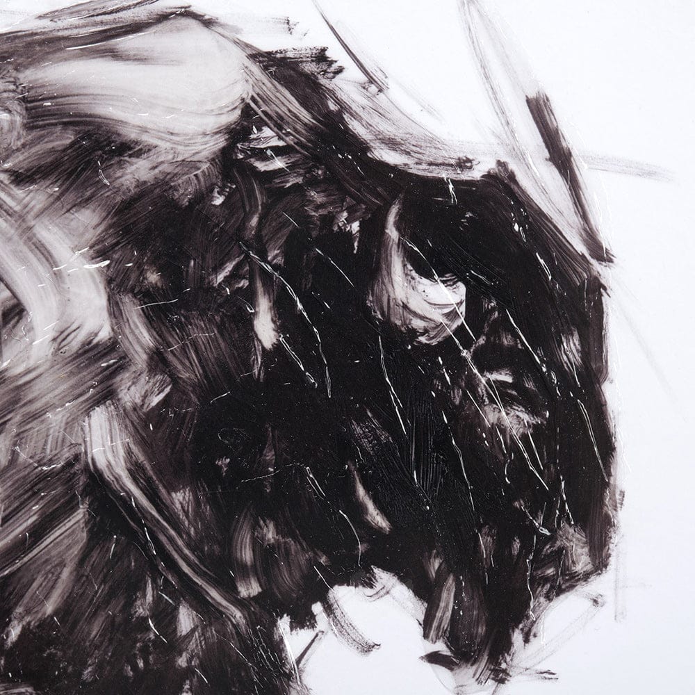 Mercana - Dynamic Bison I by Ethan Harper a Hand Embellished Textured Framed Art Print Matted under Glass - 13083 view 7