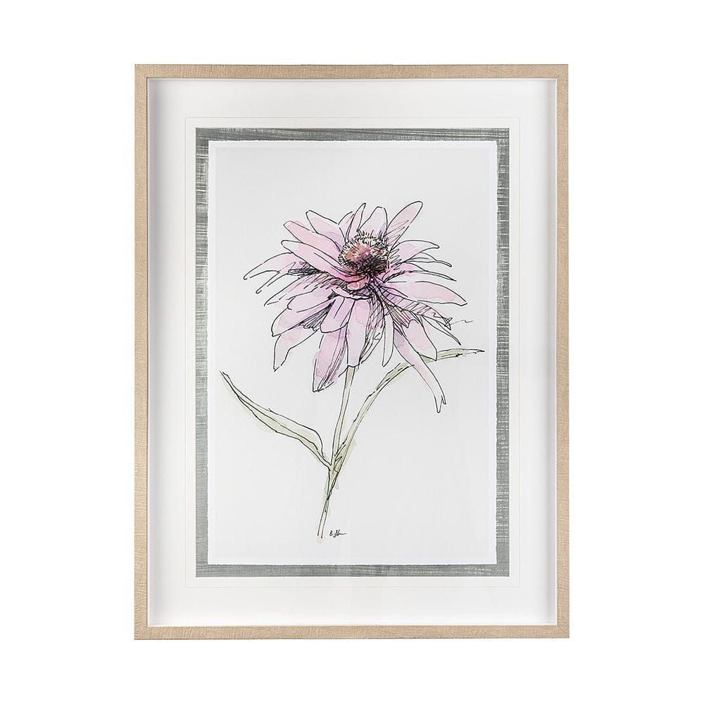 Mercana - Echinacea I by Panpan Zhang a Framed Art Print Matted under Glass - 13648 view 1