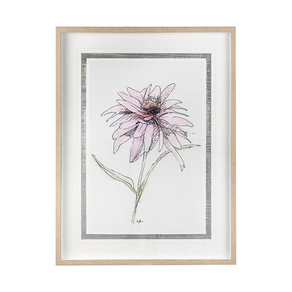 Mercana - Echinacea I by Panpan Zhang a Framed Art Print Matted under Glass - 13648 view 1