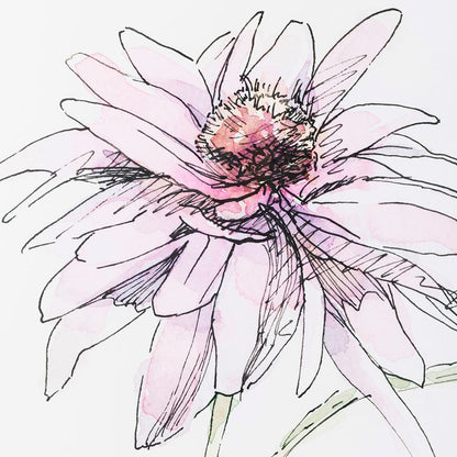 Mercana - Echinacea I by Panpan Zhang a Framed Art Print Matted under Glass - 13648 view 7