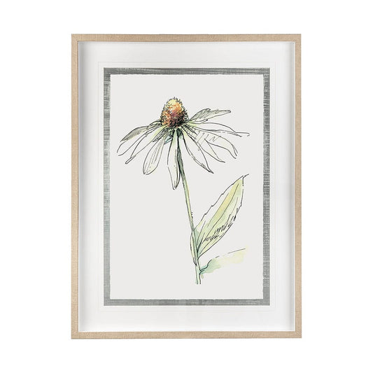 Mercana - Echinacea II by Panpan Zhang a Framed Art Print Matted under Glass - 13649 view 1