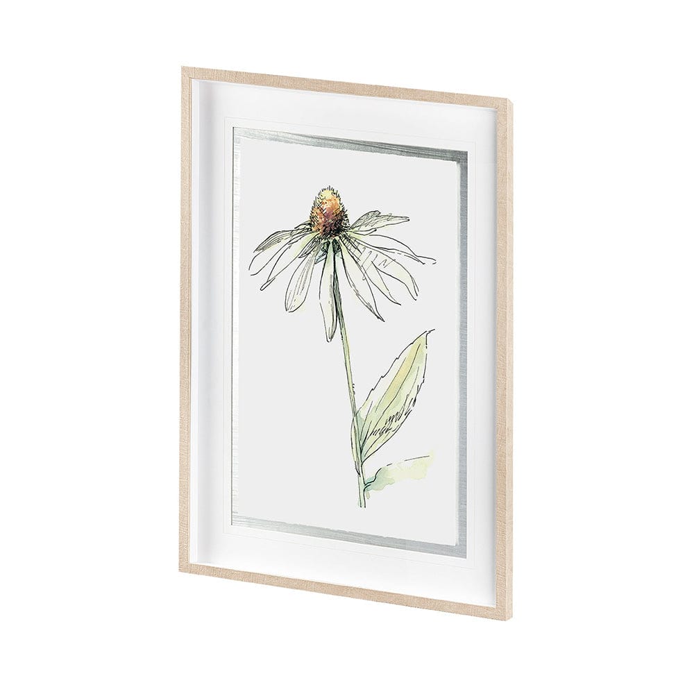 Mercana - Echinacea II by Panpan Zhang a Framed Art Print Matted under Glass - 13649 view 2